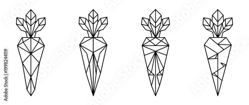 parsnip , Geometric Origami line art vector set