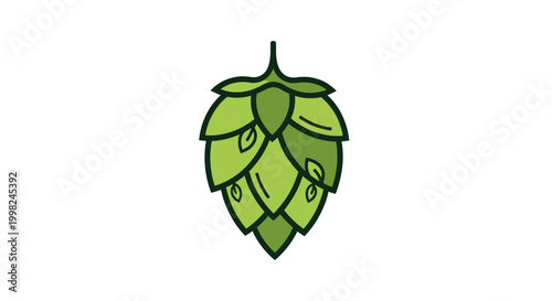 Green hop cone vector illustration isolated on white background.