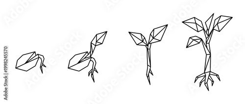 sprout , Geometric Origami line art vector set