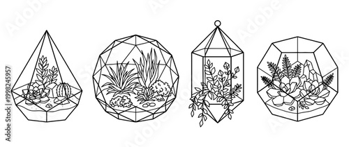 terrarium , Geometric Origami line art vector set