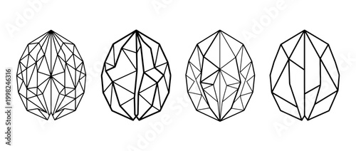 walnut , Geometric Origami line art vector set
