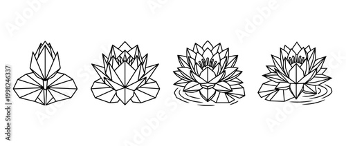water lily , Geometric Origami line art vector set