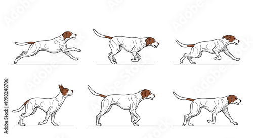 Detailed sequential drawing showing the movement stages of a dog running, capturing the anatomy and motion of a canine in full stride animation.
