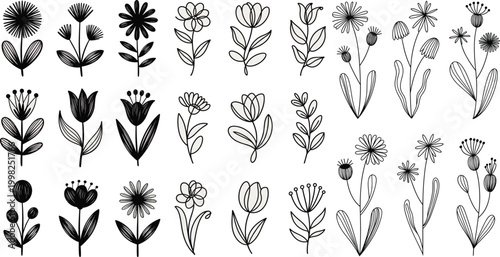 Hand drawn floral elements and leaves flowers botanical, icon, logo