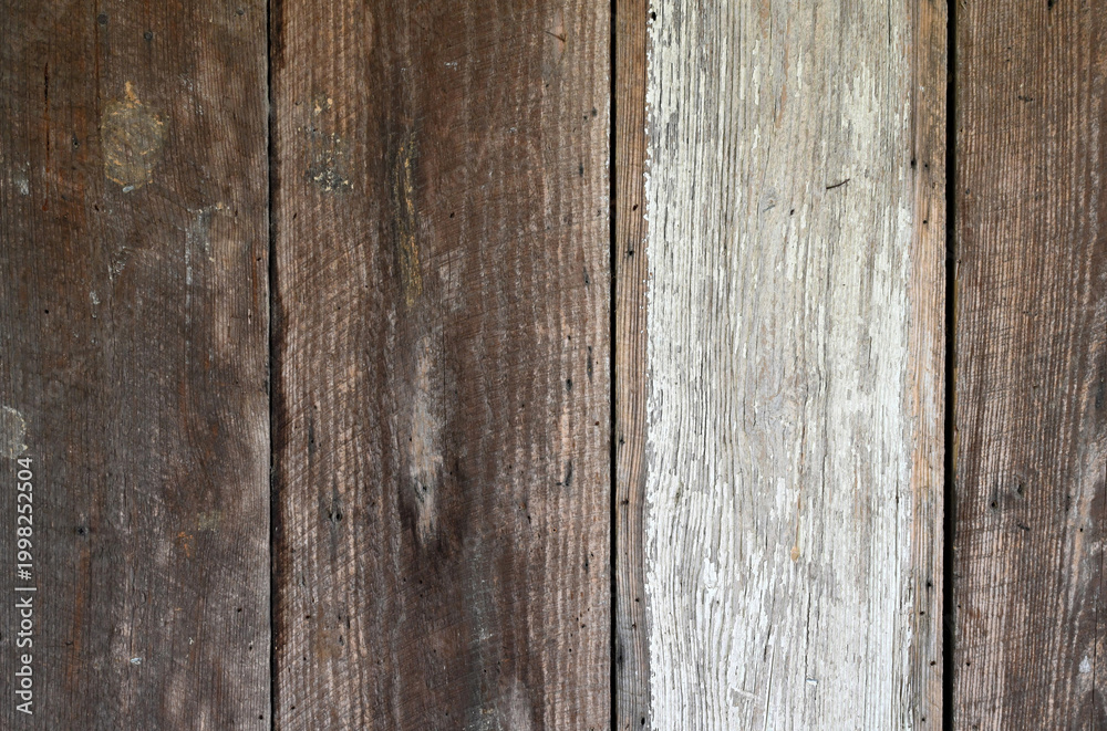 Fototapeta premium Reclaimed wood siding with brown weathered boards, strong wood grain, one worn white painted plank, gaps between boards, nail heads, screwheads, staples, and surface wear 