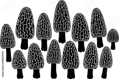 Black and white of morel mushrooms in a scattered arrangement fungi pattern