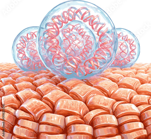 Create a realistic Exosome or Encapsulated Collagen Molecules on Skin Cells, 3D Render vector art with white background.
