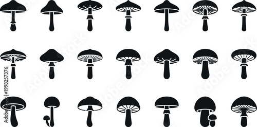 Collection of black silhouette mushroom with varied cap and stem white background, fungus