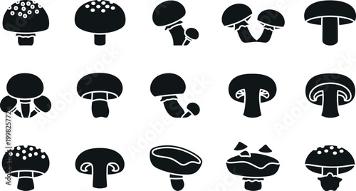 Collection of black silhouette of various mushrooms, including whole and sliced fungi white