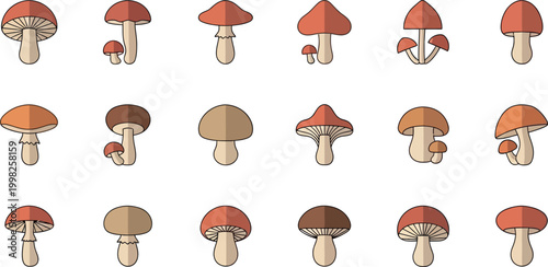 Collection of flat mushroom in various shapes and colors fungi flat nature
