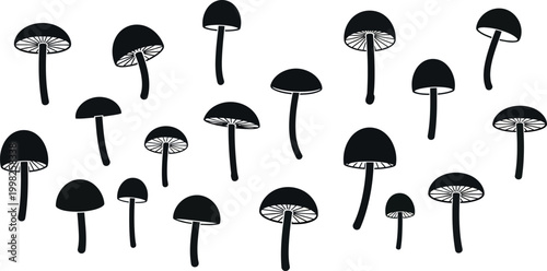 Scattered black mushroom silhouettes with detailed gills on a white background, fungi