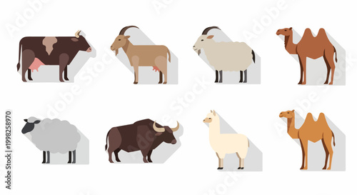 Flat design vector illustration showcasing various farm and desert animals in a clean graphic style