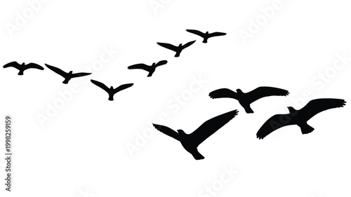 A flock of birds flying in formation a striking black silhouette