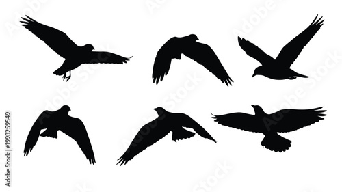 A flock of birds in flight depicted as a striking silhouette