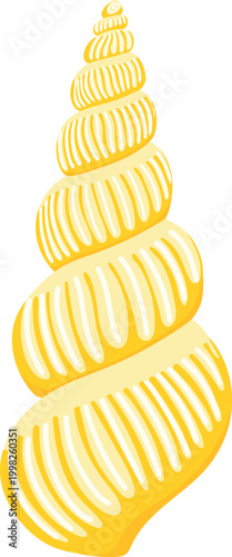 Yellow spiral seashell with decorative lines long conical marine shell isolated