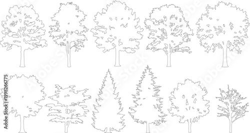 Minimalist tree outline collection, set of 11 deciduous and coniferous tree vector silhouettes, thin line art forest plant icons for architectural site plans