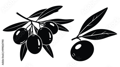 Black olives on branches depicted in a striking silhouette