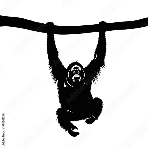 Silhouette of Orangutan Hanging from Branch in Black and White.