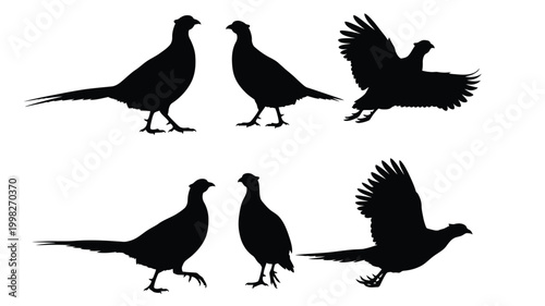 A collection of pheasant silhouettes in various poses and actions
