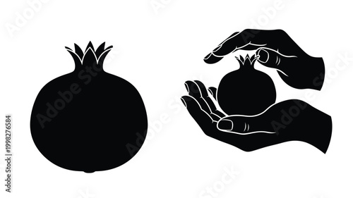 Hands gently cradling pomegranates a striking black silhouette