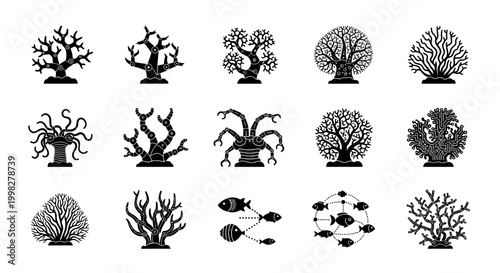 Photos Coral reef black silhouettes marine life.