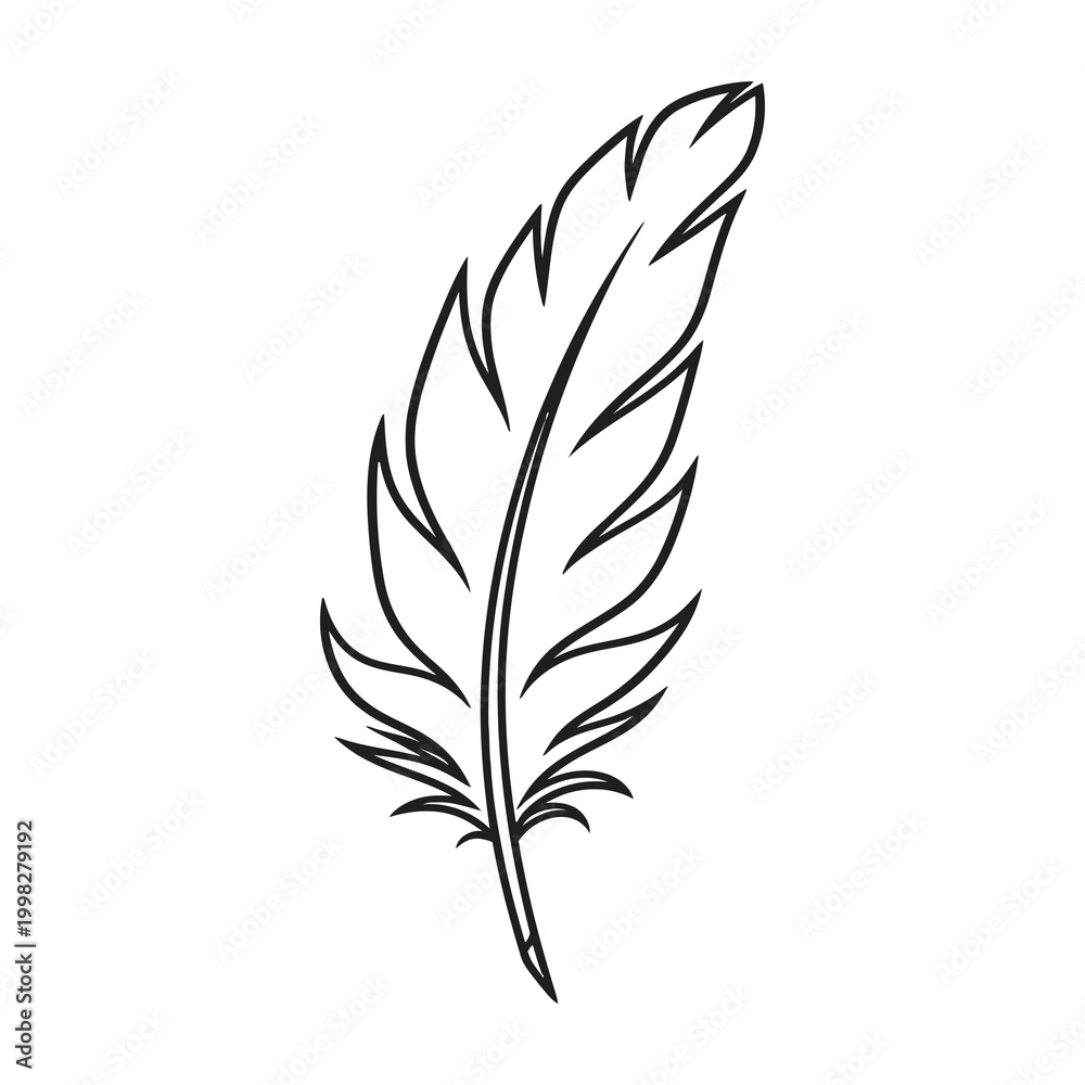 Fototapeta premium Detailed feather illustration with quill and barbs on white background