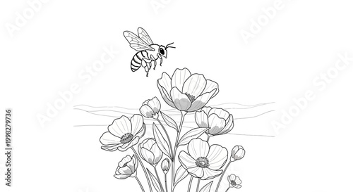 Bee flying near colorful poppy flowers.