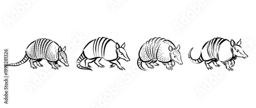 armadillo , Traditional Chinese Brush , strokes swirl style