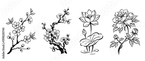 blossom , Traditional Chinese Brush , strokes swirl style