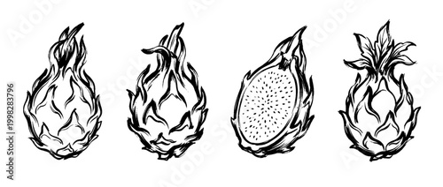 dragon fruit , Traditional Chinese Brush , strokes swirl style