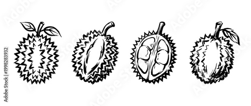 durian , Traditional Chinese Brush , strokes swirl style