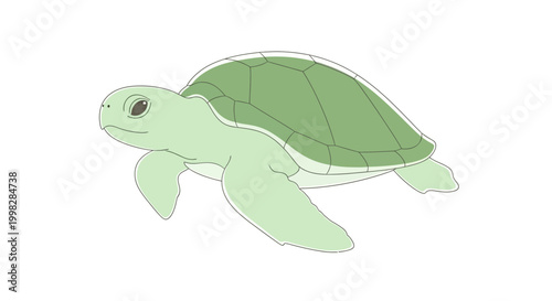 Green Turtle Swimming in Water.