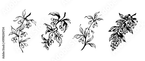 goji berry , Traditional Chinese Brush , strokes swirl style