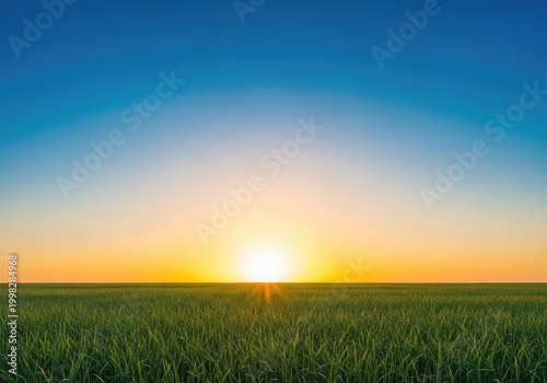 Vast, smooth, and perfectly blank horizon line separating an empty sky and an open field, symbolizing limitless potential and freedom, gray, copy space, endless