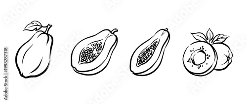 papaya , Traditional Chinese Brush , strokes swirl style