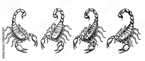 scorpion , Traditional Chinese Brush , strokes swirl style