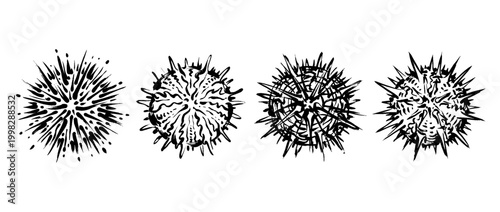sea urchin , Traditional Chinese Brush , strokes swirl style