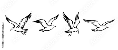 seagull , Traditional Chinese Brush , strokes swirl style