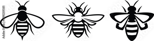 Butterfly Bliss

Winged Wonder

Sky Petals

Pure Flutter

The Gossamer Wing