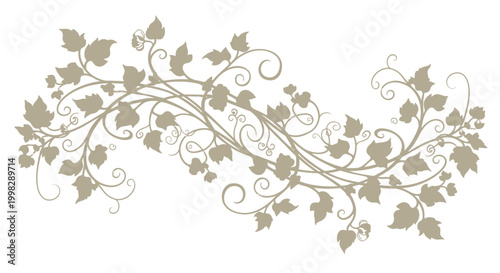 Ivy leaves vine decorative floral element.