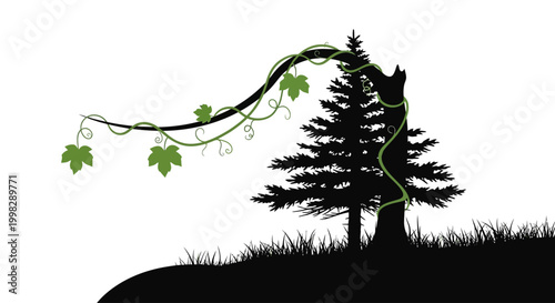 Silhouette of a Pine Tree.