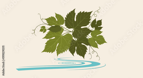 Green grapevine leaves illustration.