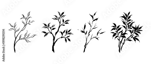 twig , Traditional Chinese Brush , strokes swirl style