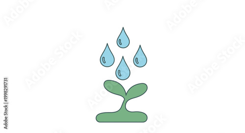 Plant growth and water droplets, representing nature's hydration and nurturing process for life and development