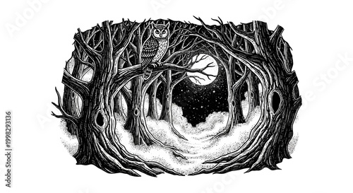 A mystical forest illustration of trees with a moonlit night engraving style.