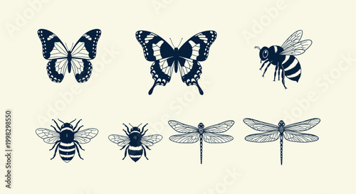 Vintage Style Hand Drawn Insect Illustrations Set Including Butterflies Bees and Dragonflies