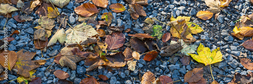 Blätter mit Herbstfarben liegen auf einem Weg mit Steinen, Nordrhein-Westfalen, Deutschland