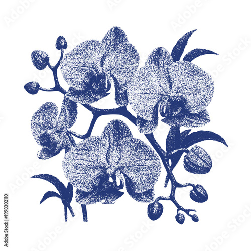 Orchid flower cyanotype stipple graphic in botanical vector style. Indigo dotted texture artwork for floral poster, nature decoration and vintage print design