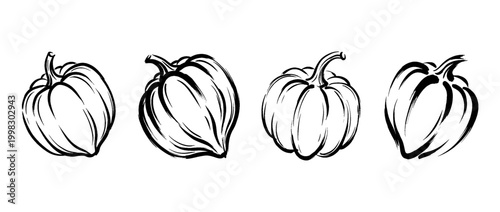 acorn squash , Traditional Chinese Brush , strokes swirl style