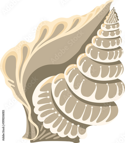 Beige conch seashell with decorative dots and swirl ornate marine shell isolated